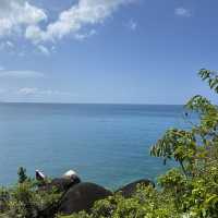 Fitzroy Island!!!