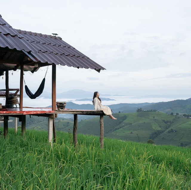 10ข้อควรรู้ ก่อนมาป่าบงเปียง 🌾⛰️🌧️