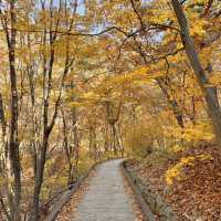 Nature’s best, Seoraksan