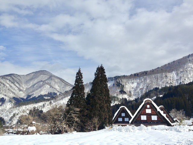 【岐阜県・白川】世界遺産 x 雪景色⛄️