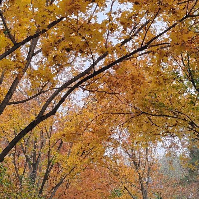 Catching the tail of autumn