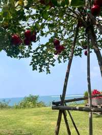 คาเฟ่สวยพัทยา Papa Beach Pattaya