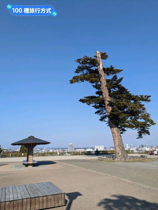鳥瞰仙台市景的絕佳場所：仙台城跡(青葉城)