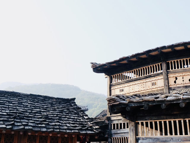 Yongin Dae Jang Geum Park ย้อนเวลาเข้าสู่โลกซีรีส์