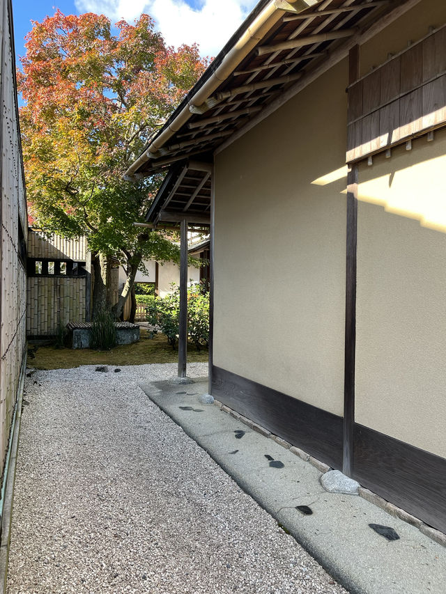 📍熱海　MOA美術館の日本庭園