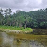 Woljeongsa Temple, Odaesan Mountains