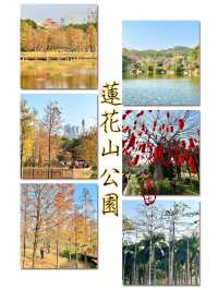 蓮花山公園-深圳市區最受歡迎公園，豐富的生態環境和多樣的景觀