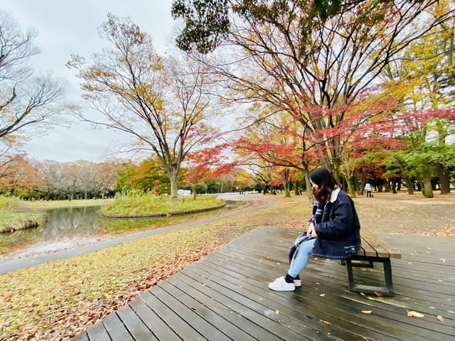 🇯🇵 東京市中心賞銀杏紅葉🍁