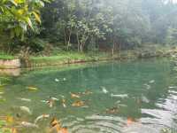 เหมืองปิล็อก - อ.ทองผาภูมิ กาญจนบุรี
