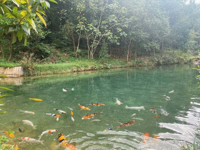 เหมืองปิล็อก - อ.ทองผาภูมิ กาญจนบุรี