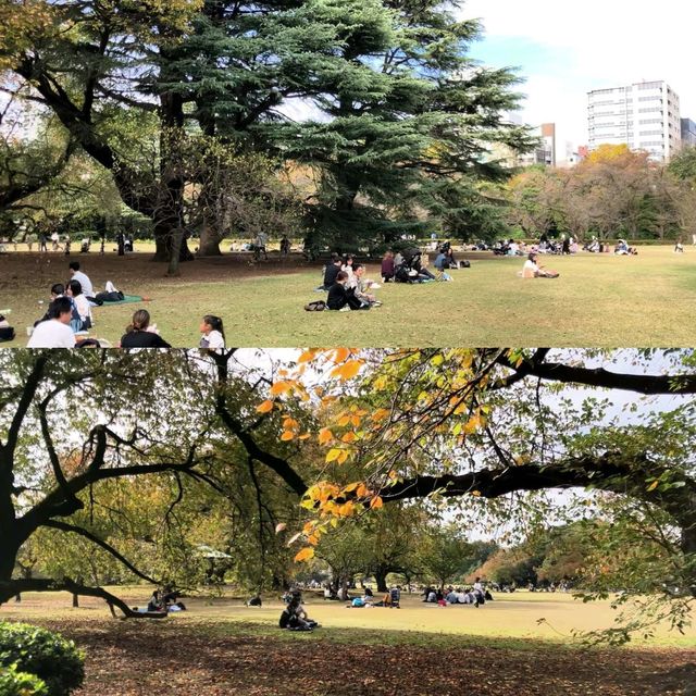 東京脫離繁華舒適的地方