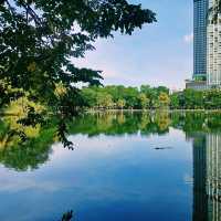 泰國曼谷著名城市綠洲公園景點:倫披尼公園，看野生大蜥蜴，城市湖泊美景，適合拍照打卡親子遊。