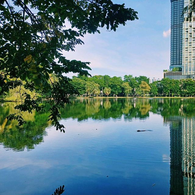泰國曼谷著名城市綠洲公園景點:倫披尼公園，看野生大蜥蜴，城市湖泊美景，適合拍照打卡親子遊。