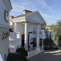 Cocos the Club Solto Recommendation