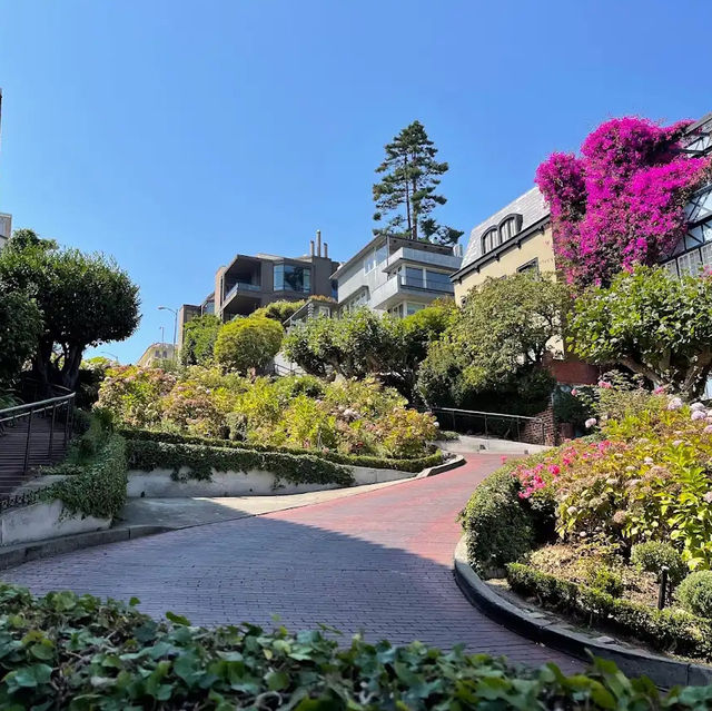 九曲花街Lombard St 舊金山旅遊景點