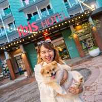 Pets friendly hotel Phuket🐶🐱