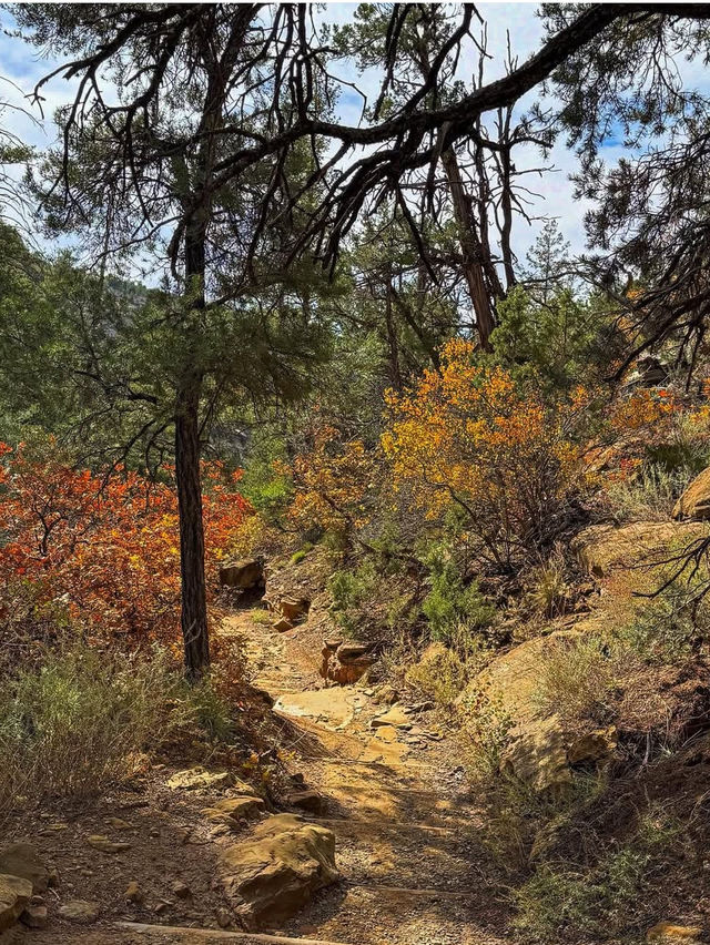 A fun day in Mesa Verde 