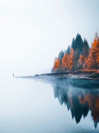 A Day in the Black Forest: Where colors Come to Life
