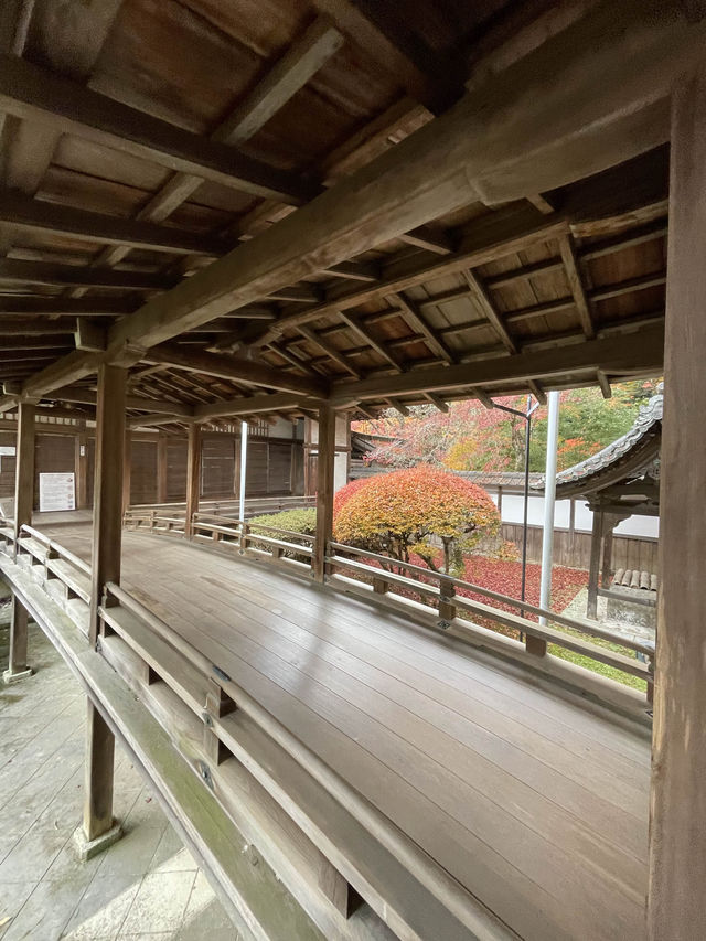 京都山科の古刹🥰紅葉名所🍁毘沙門堂門跡🍁