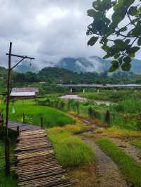 Sapan in rainy season.Nan province,Thailand