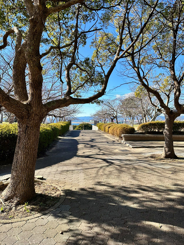 【福島　いわき：三崎公園】