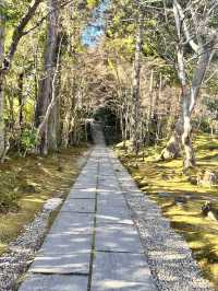 仙台松島円通院⛩️，靜謐的寺庙與美麗庭園