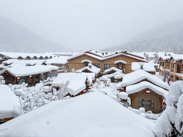 การเดินทางมา Snow Town จากตัวเมือง ฮาร์บิน
