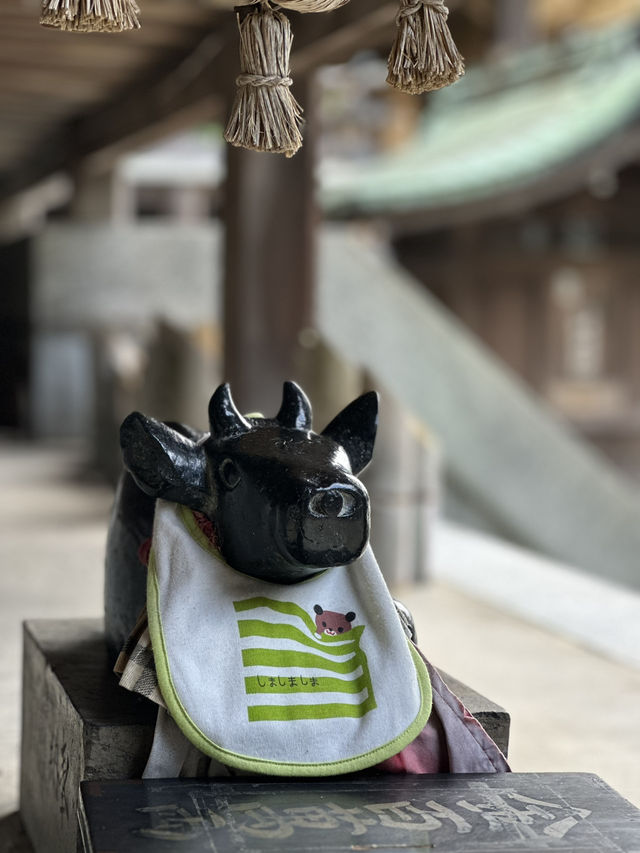 CMで話題となった光の道  3つの日本一がある神社