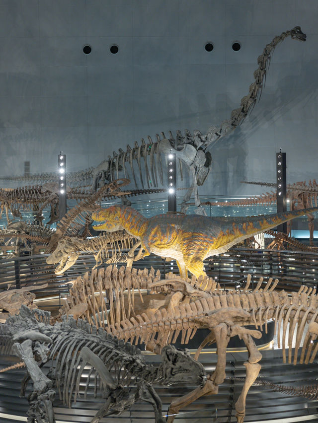 【福井】新館のオープンした恐竜博物館🦖