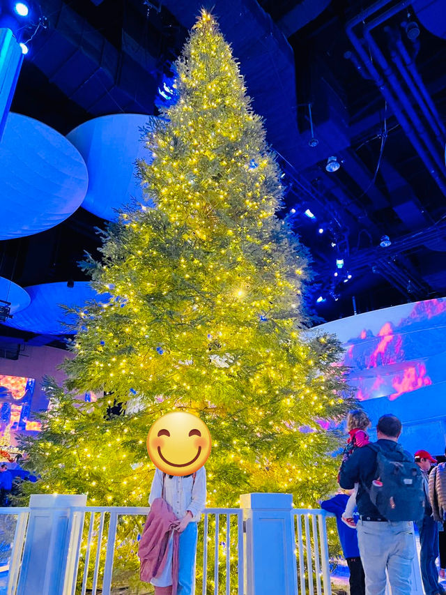 [聖誕節🎄］Georgia Aquarium-親子同遊過聖誕🐠🐡🌟