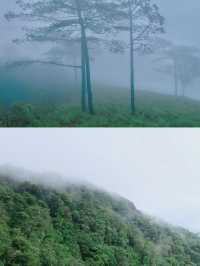 5 ทริคเดินป่า ดอยหลวงตาก แบบสนุกและรอดชัวร์