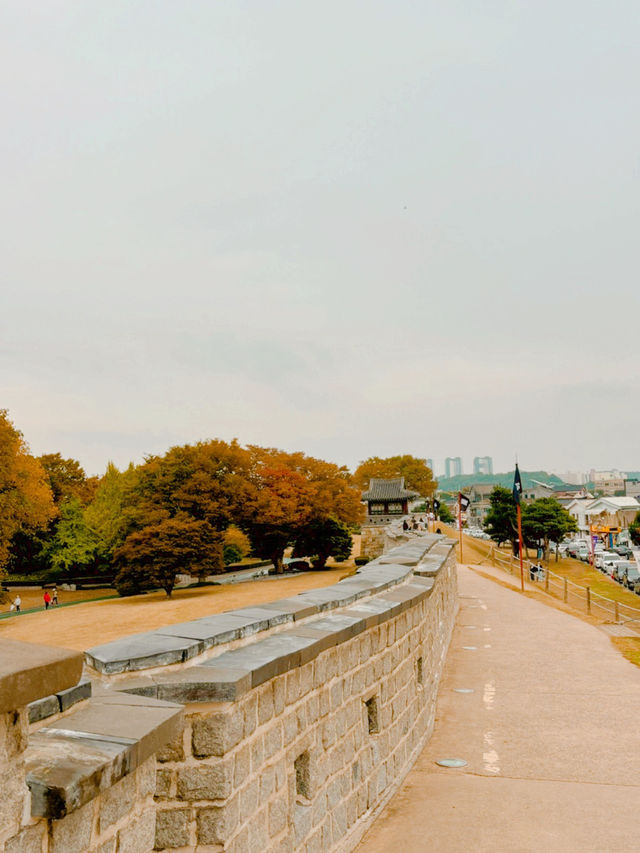 행궁동 분위기 느좋💚
