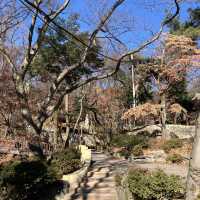 서울 한복판의 고즈넉한 사찰, 길상사