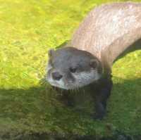 小而美的水族館