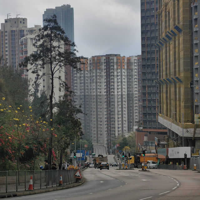 A Vibrant Journey Through Hong Kong