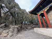 🌸 Explore the Elegance of Summer Palace