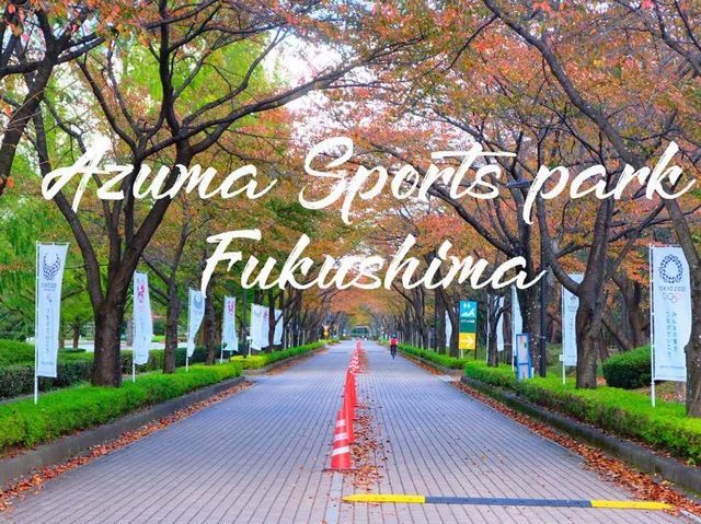 เที่ยวขมใบไม้เปลี่ยนสีที่ Azuma Sports Park 