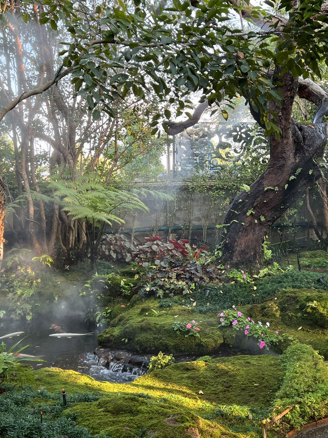 ชมคาเฟ่ เชียงใหม่