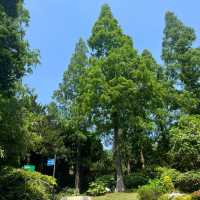 上塔悠公園🛣️城市氧吧🌳🌼