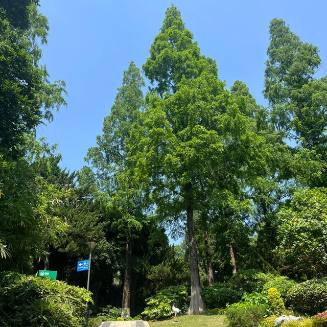 上塔悠公園🛣️城市氧吧🌳🌼