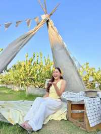 Lemon me farm 🍋คาเฟ่นครปฐม ใกล้กรุงเทพ