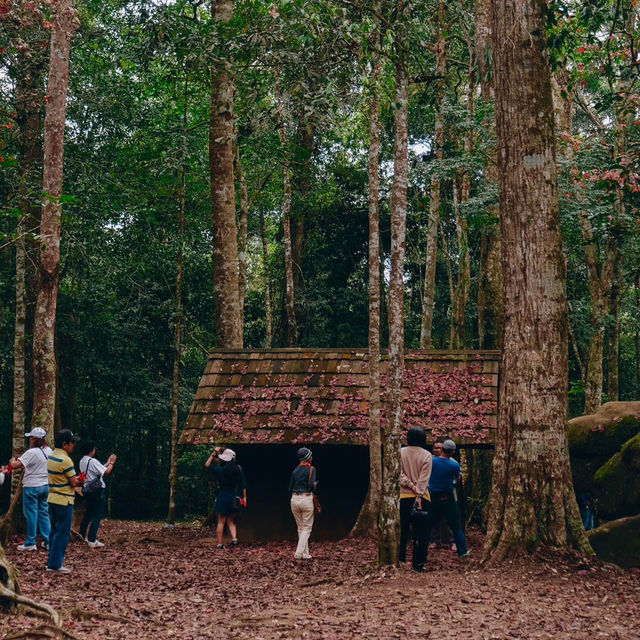 ฤดูกาลเมเปิ้ลแดง 1 ปีมี 1 ครั้ง 🍁