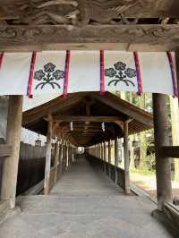 【長野】全国2.5万社以上ある諏訪神社の総本社でパワーチャージ!!