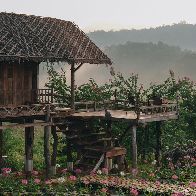 ที่พักกลางทุ่งดอกไม้...วิวปังแห่งเชียงดาว 