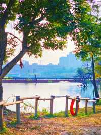 珠海景點推薦：香山湖公園的自然美景與休閒體驗🌳