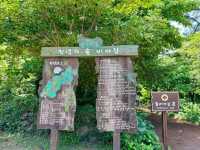 Bijarim Forest