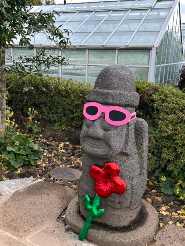 겨울에 가장 아름다운 곳 🌺