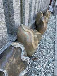 【宮城×冬の旅】金運アップで有名な神社 ヘビ年で更に人気！！ 