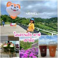 คาเฟ่ฟีลกู๊ด Hydrangea Cafe 