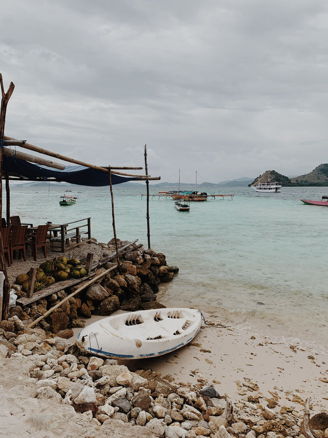 A Journey Through Komodo’s Wild Heart: 3 Days of Pure Adventure
